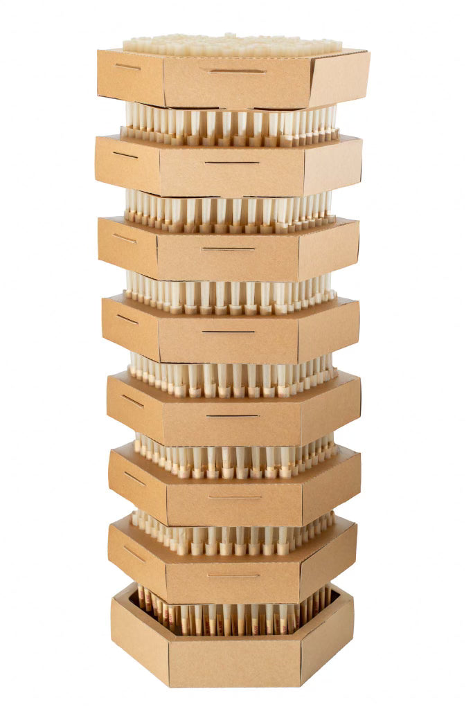 King Stax 169 Series – 70MM Cones (Bleached) – 1,183 Cones/box